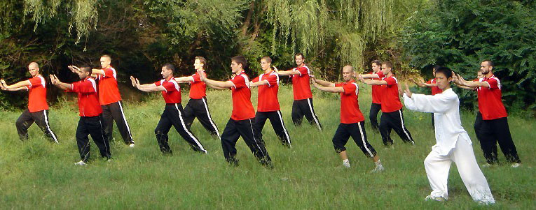 High Quality Tai Chi Training - Get rid of stress and build a strong body in a healthy way.