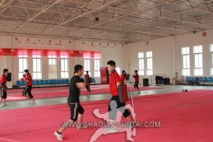 Sanda Training in China
