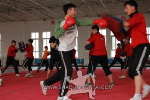 Sanda Training in China