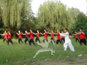 aiChi in the pure nature is the best. Master Hai Yang starting the Tai Ji form Lao Jia Yi Lu….pure energy!
