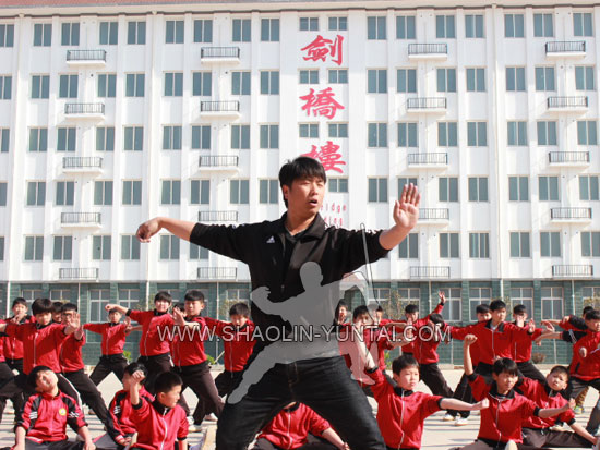 Taiji shifu showing some movements