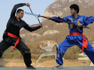 Wushu Dublin Training China