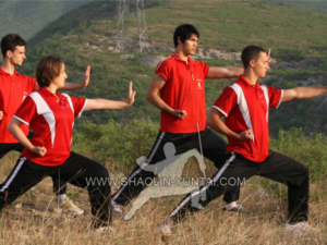 Tai Chi Training in the Mountains