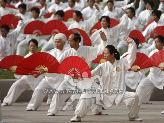 Tai Chi Group Performance