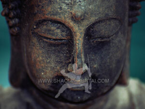 Head of a Buddha Statue