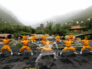 Shaolin Training