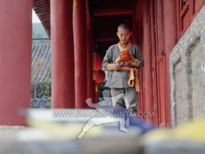 Shaolin Meditation