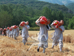 Shaolin Monks from the Shaolin Temple