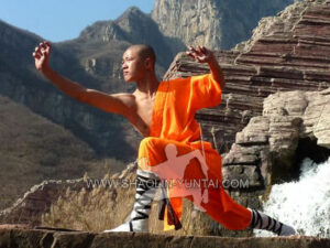 Shaolin training outside