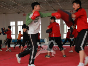 Sanda Training in China