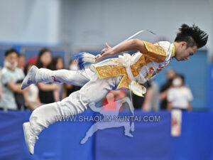 Wushu Championship