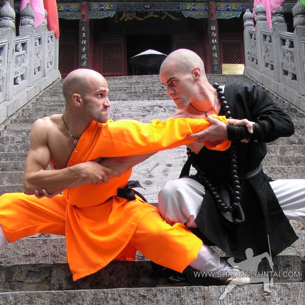 Best Martial Arts Training in China