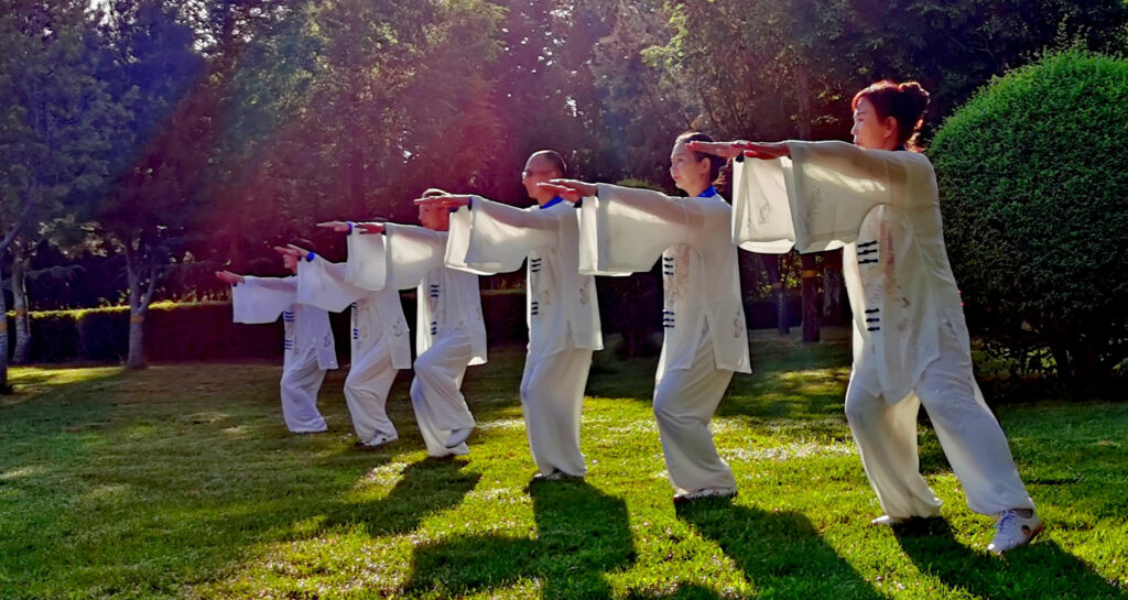 Qi Gong Training