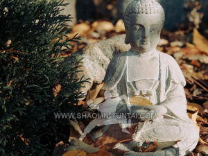 Mindfulness & Buddhism