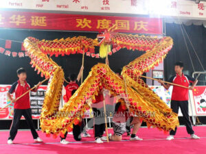 Dragon Dance Training - Star Formation