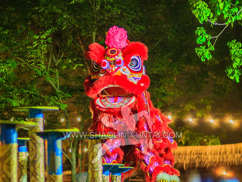 Lion Dance Performance Festival