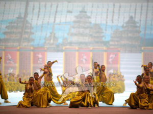 China Zhengzhou International Shaolin Wushu Festival