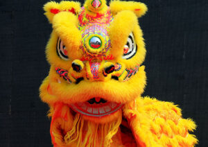 Learn Lion Dance in China