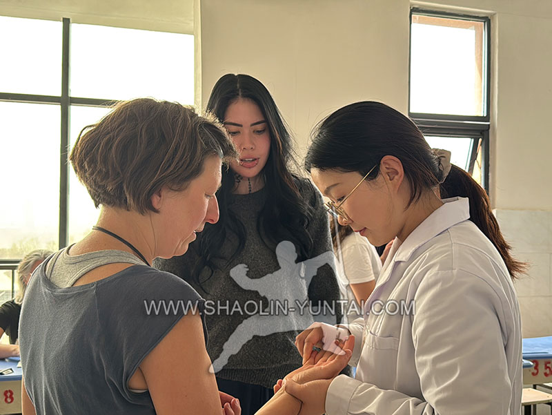 Tui Na Application 19